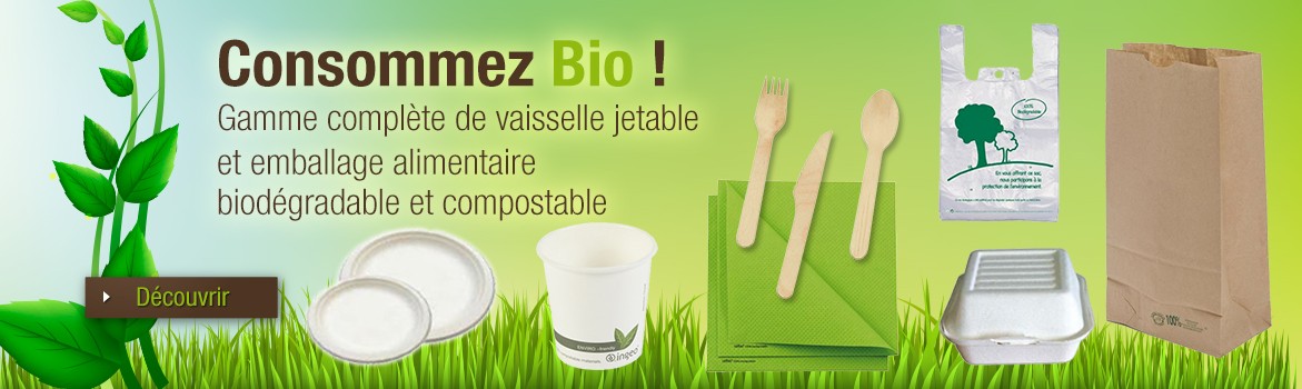 Mini fourchette plastique vert transparent de notre vaisselle jetable en  plastique.